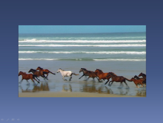 スライドに動画を埋め込んだイメージ