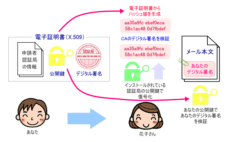 電子証明書の検証の流れのイメージ