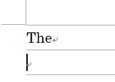 英単語の2文字目が小文字に変換されたイメージ