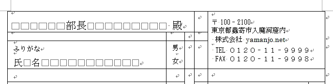 ペンで罫線を挿入したイメージ