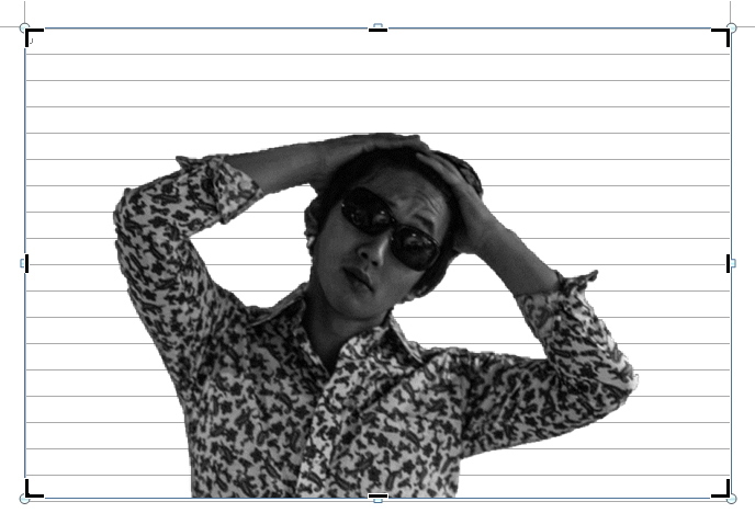 トリミングの黒枠のイメージ トリミングの黒枠のイメージ