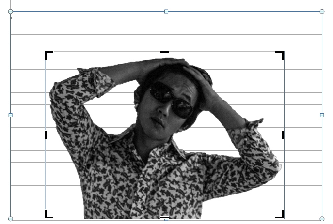 トリミングの黒枠の範囲を狭めたイメージ トリミングの黒枠の範囲を狭めたイメージ