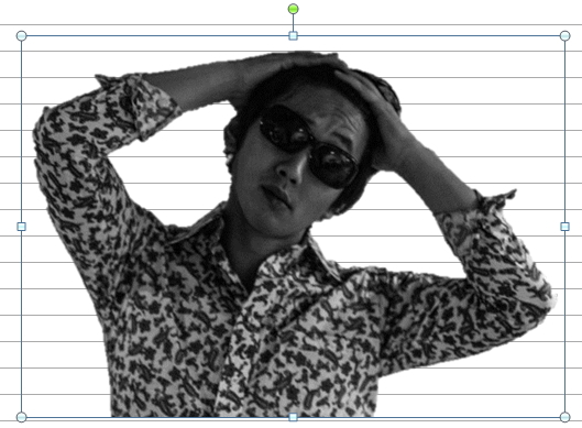 画像をトリミングしたイメージ 画像をトリミングしたイメージ